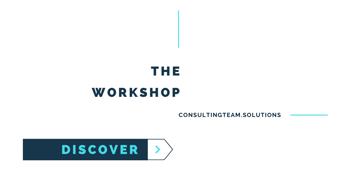 Technology, People, and Strategy Business Workshops with Elena Debbaut, crisis manager